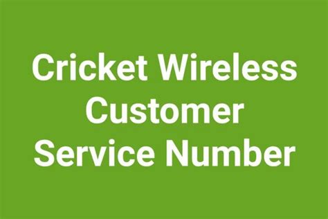 cricket customer service number spanish